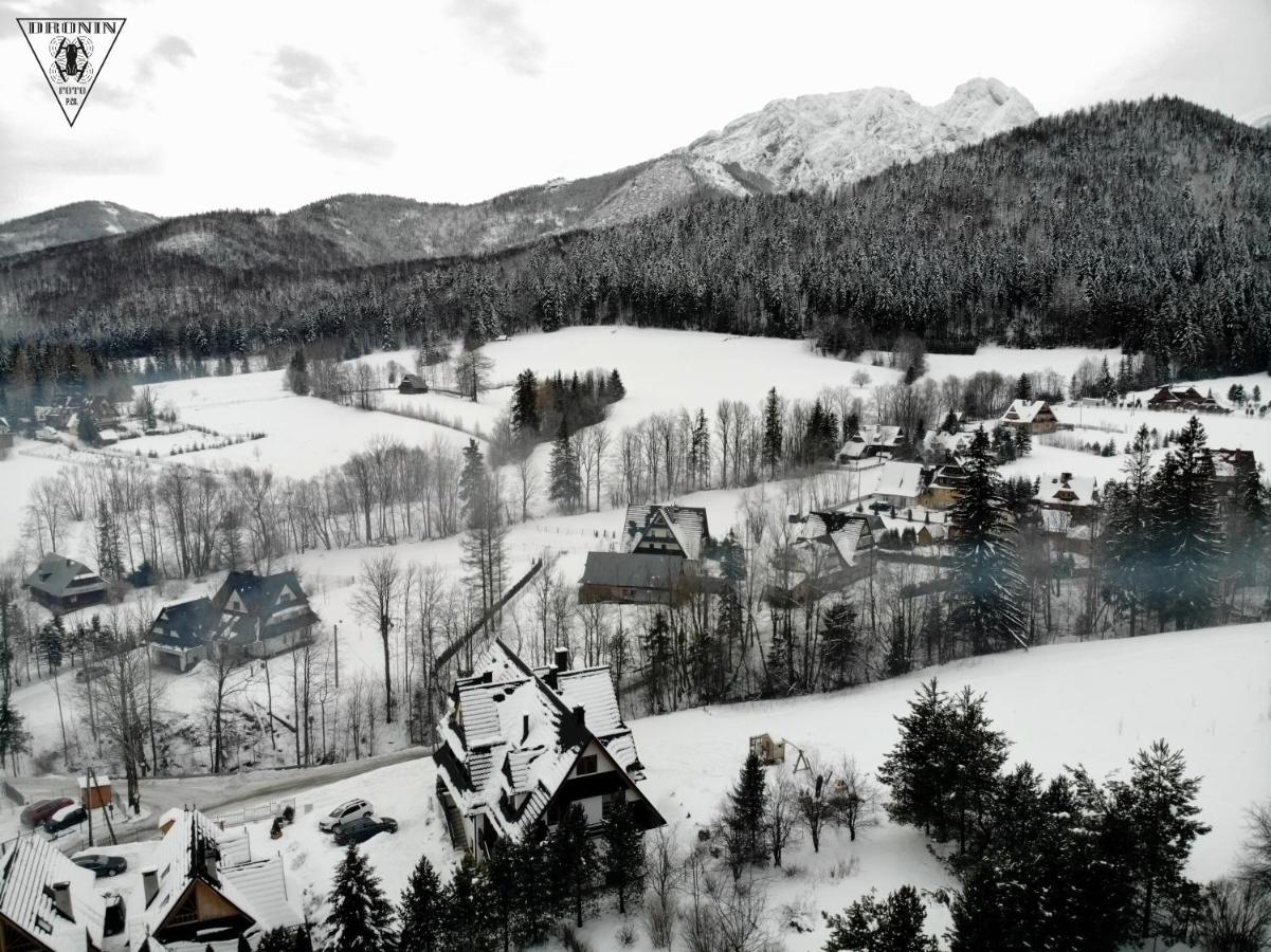 Willa Zielone Wzgorze - Luksusowe Apartamenty - Zakopane Exteriör bild
